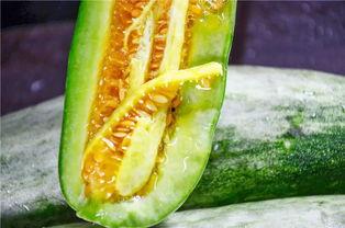 吃网红瓜,那些你不知道的“吃瓜”故事  第2张